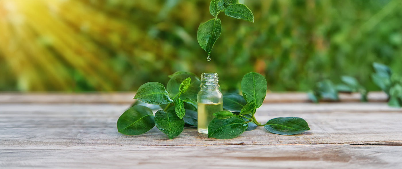 Serums
