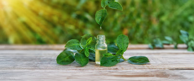 Serums